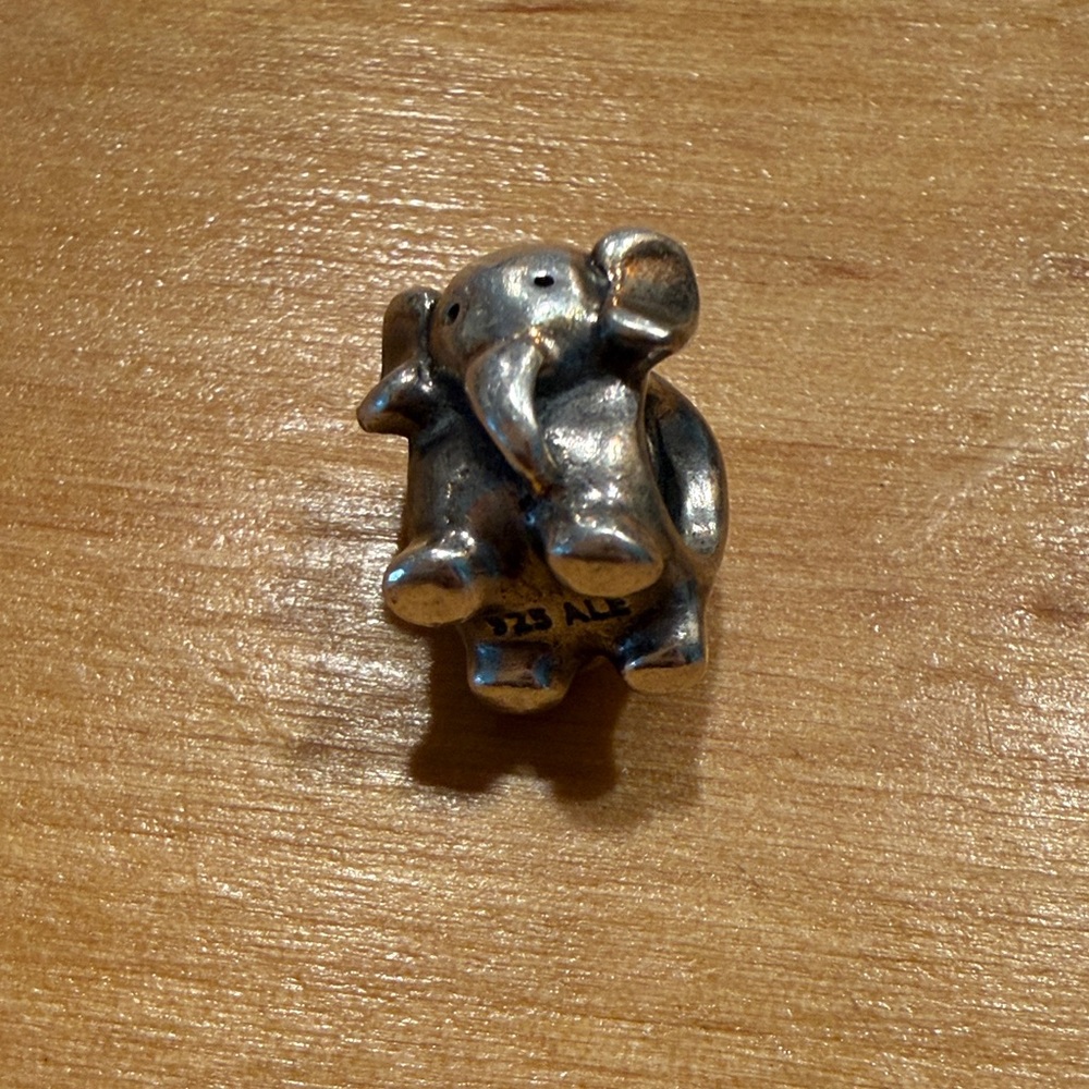 Pandora Sterling Silver Charm Beads - Mixed Designs - Picture 7 of 7